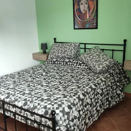 Il Tulipano