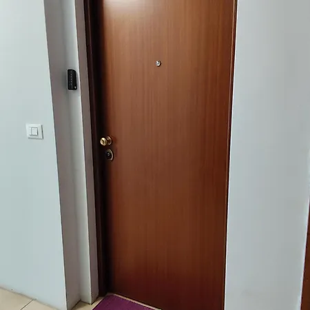 Il Tulipano