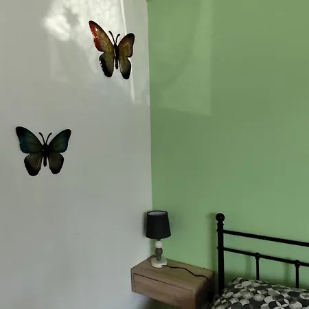 Il Tulipano *